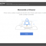 ccleaner principal