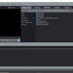 magix video deluxe premium